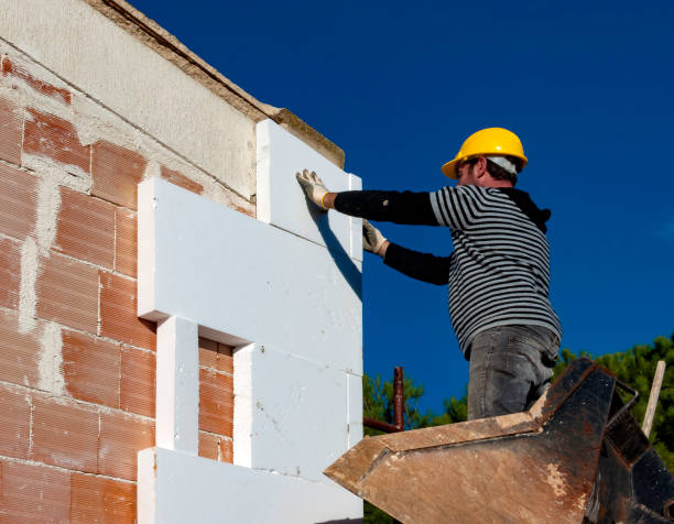 Best Insulation Maintenance and Repair in River Ridge, LA